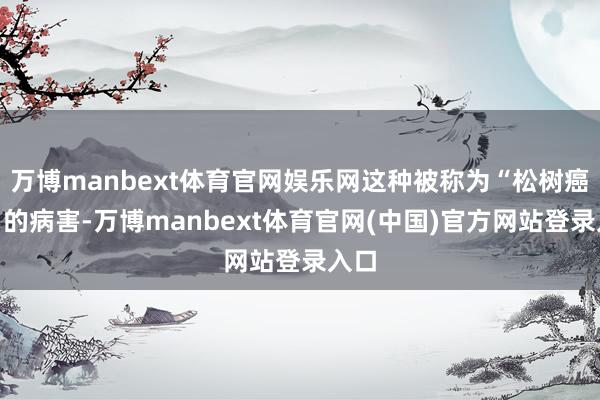 万博manbext体育官网娱乐网这种被称为“松树癌症”的病害-万博manbext体育官网(中国)官方网站登录入口