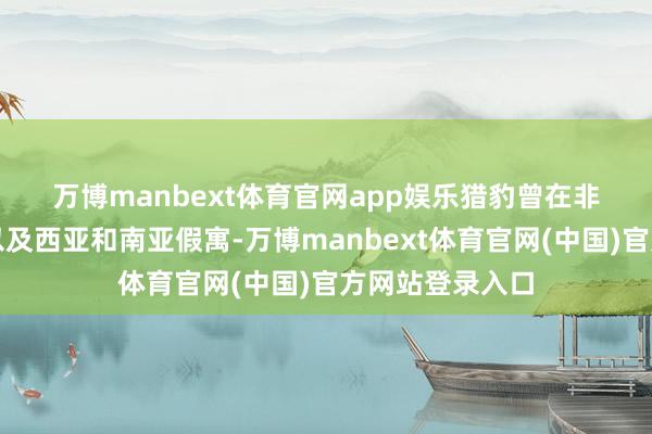 万博manbext体育官网app娱乐 猎豹曾在非洲大部分地区以及西亚和南亚假寓-万博manbext体育官网(中国)官方网站登录入口