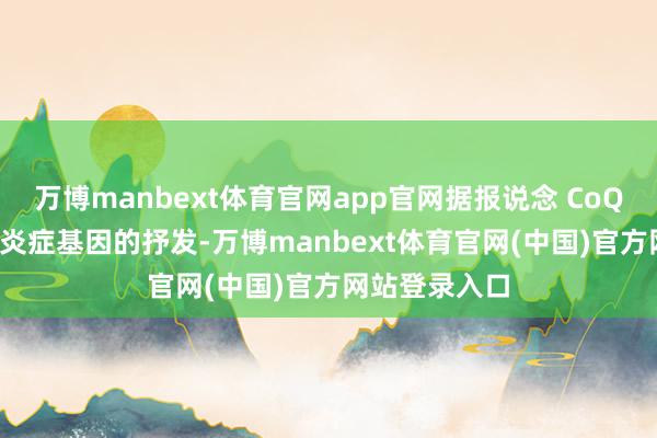 万博manbext体育官网app官网据报说念 CoQ10 还能阻挡炎症基因的抒发-万博manbext体育官网(中国)官方网站登录入口