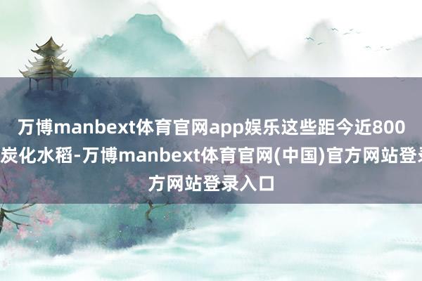 万博manbext体育官网app娱乐这些距今近8000年的炭化水稻-万博manbext体育官网(中国)官方网站登录入口