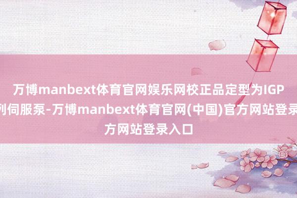 万博manbext体育官网娱乐网校正品定型为IGPX系列伺服泵-万博manbext体育官网(中国)官方网站登录入口