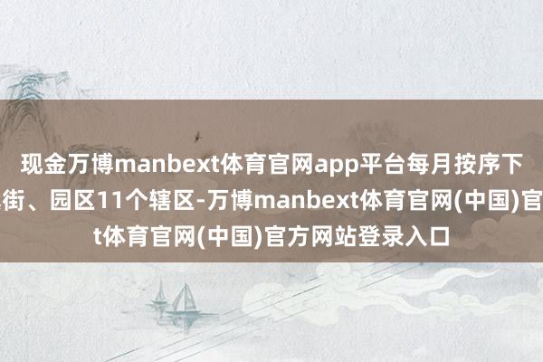 现金万博manbext体育官网app平台每月按序下千里探望辖区镇街、园区11个辖区-万博manbext体育官网(中国)官方网站登录入口