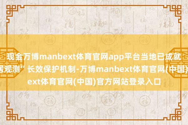 现金万博manbext体育官网app平台当地已成就起“动态监测+闲居观测”长效保护机制-万博manbext体育官网(中国)官方网站登录入口