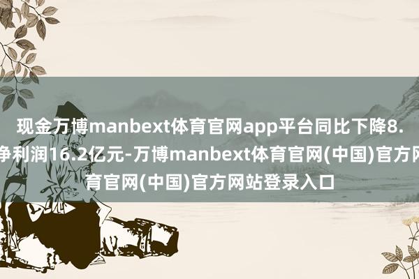 现金万博manbext体育官网app平台同比下降8.31%；归母净利润16.2亿元-万博manbext体育官网(中国)官方网站登录入口