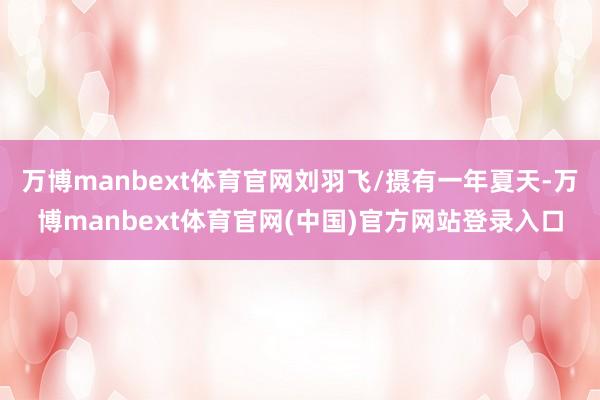万博manbext体育官网刘羽飞/摄有一年夏天-万博manbext体育官网(中国)官方网站登录入口