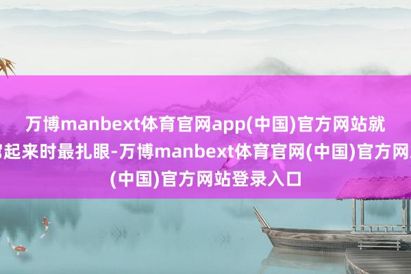 万博manbext体育官网app(中国)官方网站就像火苗刚窜起来时最扎眼-万博manbext体育官网(中国)官方网站登录入口