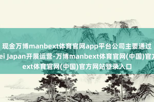 现金万博manbext体育官网app平台公司主要通过旗下子公司Koei Japan开展运营-万博manbext体育官网(中国)官方网站登录入口