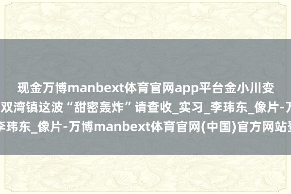 现金万博manbext体育官网app平台金小川变身生果推选官！金川区双湾镇这波“甜密轰炸”请查收_实习_李玮东_像片-万博manbext体育官网(中国)官方网站登录入口