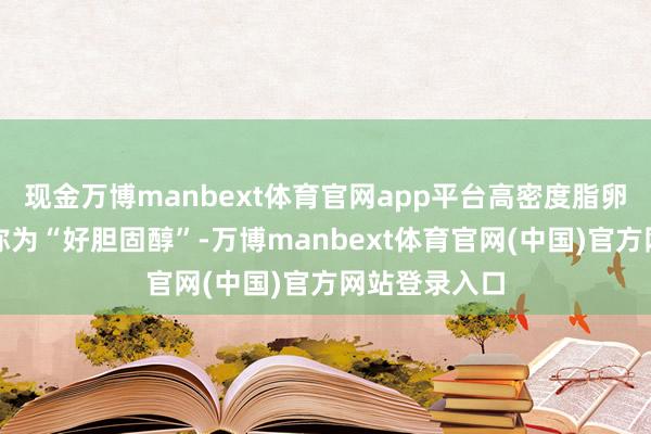 现金万博manbext体育官网app平台高密度脂卵白胆固醇被称为“好胆固醇”-万博manbext体育官网(中国)官方网站登录入口