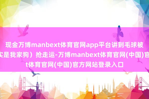 现金万博manbext体育官网app平台讲到毛球被“大怪兽”（其实是我家狗）抢走运-万博manbext体育官网(中国)官方网站登录入口