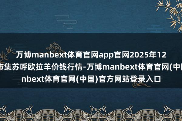 万博manbext体育官网app官网2025年12月1日宇宙主要批发市集苏呼欧拉羊价钱行情-万博manbext体育官网(中国)官方网站登录入口