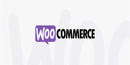 WooCommerce 商城插件 WordPress插件【v5.9.0】