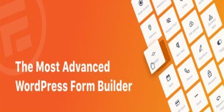 Formidable Form Builder WordPress的联系表单 调查和测验表单插件 WordPress插件【v5.0.14】