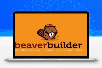 Beaver Builder Pro拖拽式可视化编辑WordPress也没编辑器汉化版